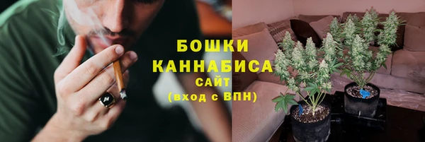 шишки Алексеевка