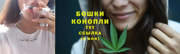 шишки Алексеевка