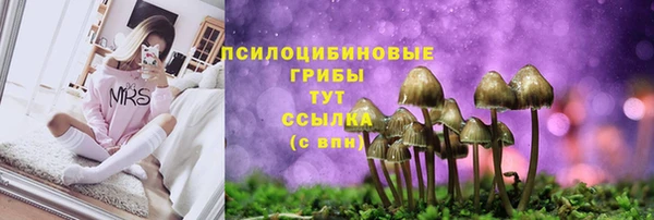 прущие крисы Вязьма