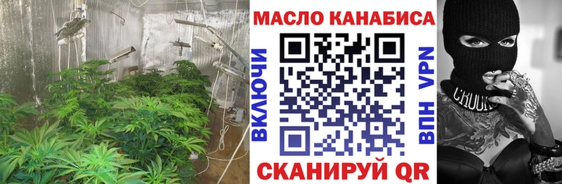 сайты даркнета Telegram  Александровское  Дистиллят ТГК THC oil  blacksprut ссылка 