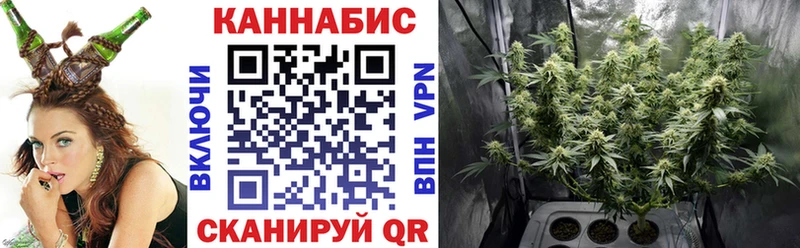даркнет как зайти  Александровское  Бошки марихуана семена 